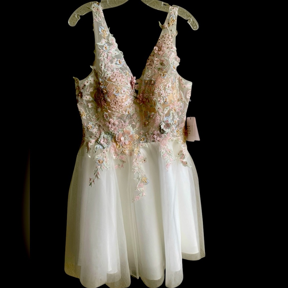 Alyce Paris Pastel Floral Embroidered Dress Sz 12 NWT